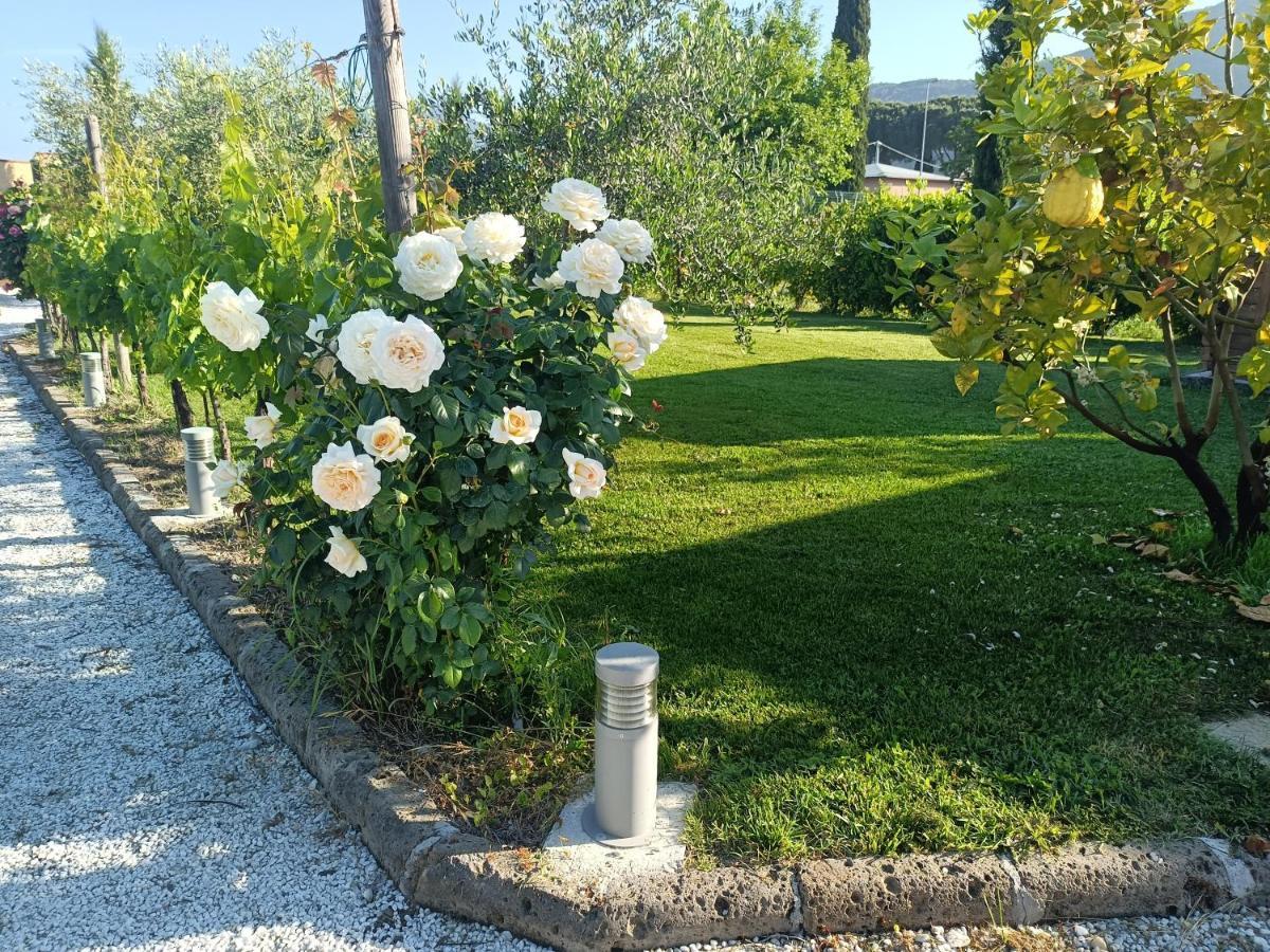 La Casa Di Samarcanda Uliveto Terme Экстерьер фото